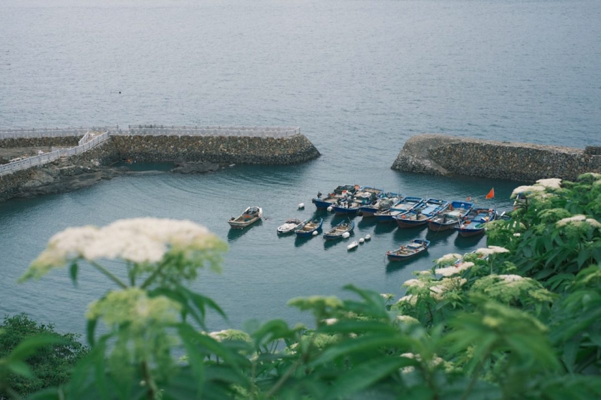 Avis Camargo Foundation résidences à Cassis