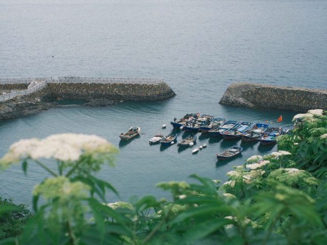 Avis Camargo Foundation résidences à Cassis