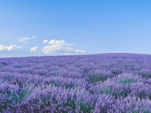 Itinéraire d’écriture en Provence : formats et repères