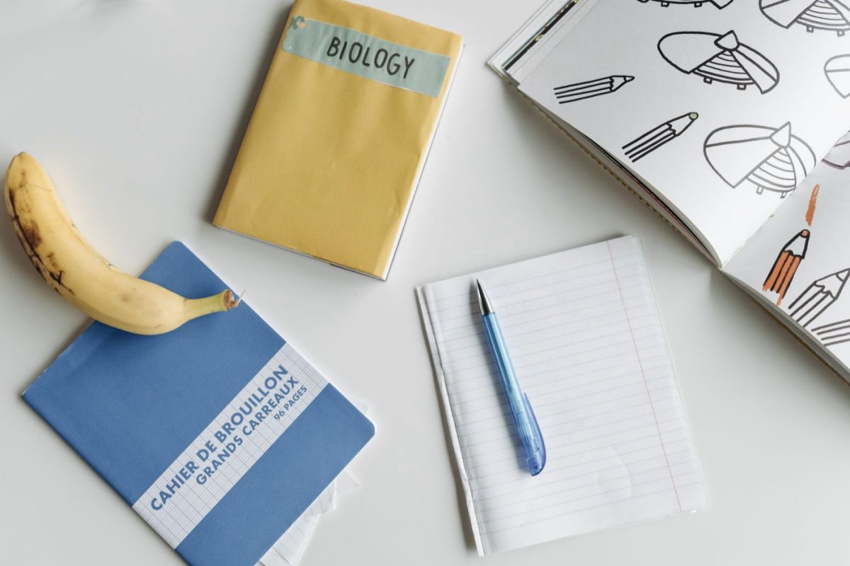 Classement d'ateliers d'écriture pour débutants