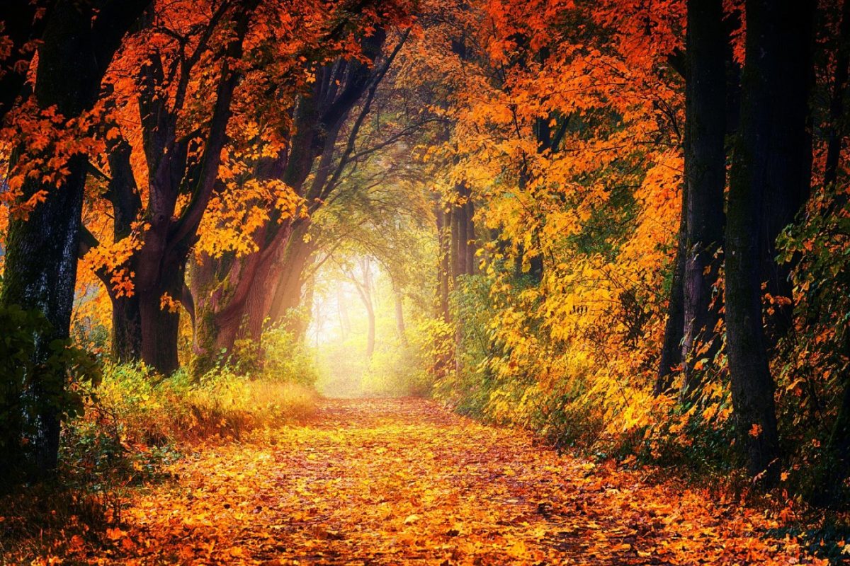 Lieux et paysages qui inspirent l'écriture