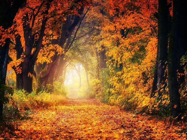 Lieux et paysages qui inspirent l’écriture
